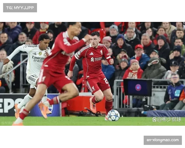 冬窗转会寒冬季英超依旧主导 欧冠球队引援评级解析